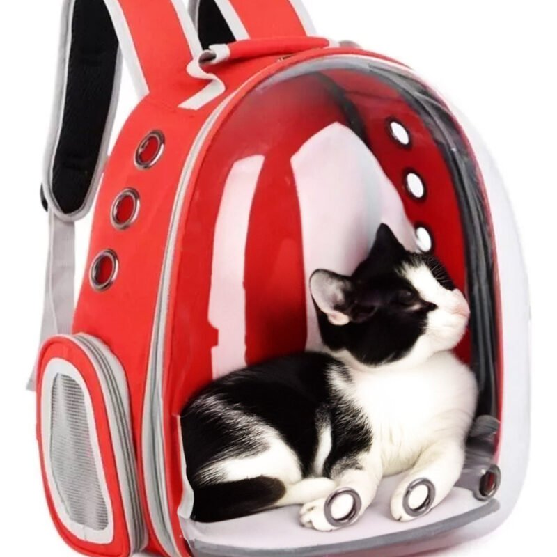 Mochila Cápsula Transparente Portátil Mascota Perro Gato 360