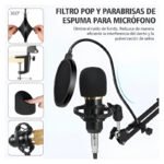 Kit Microfono Estudio Condensador Profesional Con Brazo Color Negro - Imagen 6