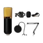 Kit Microfono Estudio Condensador Profesional Con Brazo Color Negro - Imagen 3