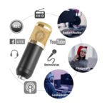 Kit Microfono Estudio Condensador Profesional Con Brazo Color Negro - Imagen 5