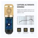 Kit Microfono Estudio Condensador Profesional Con Brazo Color Negro - Imagen 7