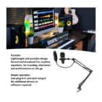 Kit Microfono Estudio Condensador Profesional Con Brazo Color Negro - Imagen 9