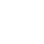 Electrónica