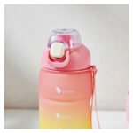 Combo Kit Set De 4 Botellas Deportivas Varios Tamaños Combo 5 - Imagen 7