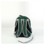 Mochila Cápsula Transparente Portátil Mascota Perro Gato 360 Verde - Imagen 2