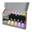 Guirnalda Solar 10 Focos Led Cálida Y Rgb 10m Control Remoto Negro