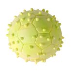 Pelota de Goma Lisa con Pinchos para Mascota