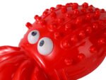 Calamar de Goma para Mascota - Imagen 4