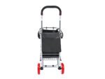 Carro Plegable de Compra Bolso y 2 Ruedas de Calidad - Imagen 4