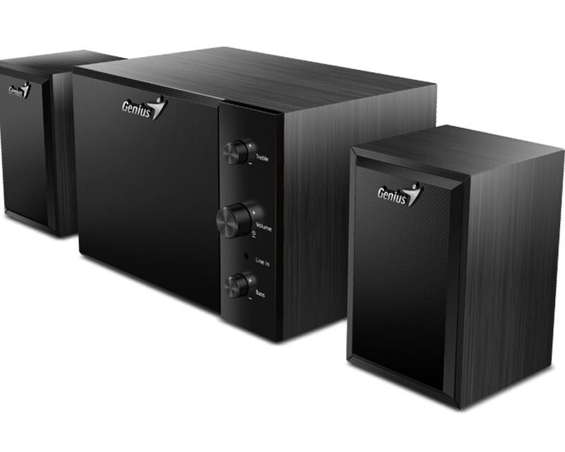 Parlantes Genius SW-2.1 350 15W Madera - Negro