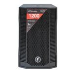 Parlante profesional FEUR Sub Woofer Potenciado 1200W 220VOLT FX12-SUB