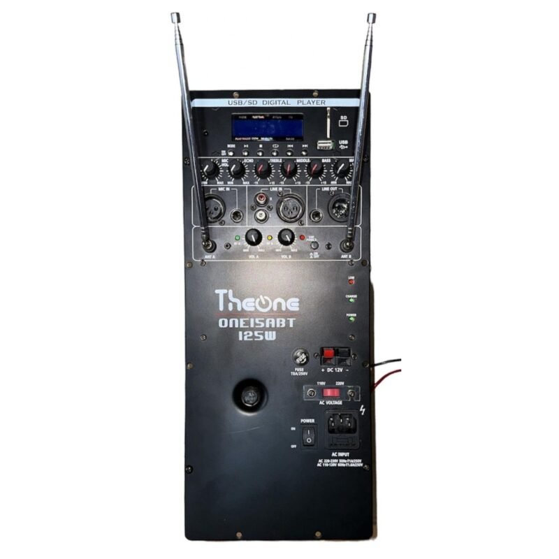 Modulo de Audio THEONE para Caja Activa 220/110 12V
