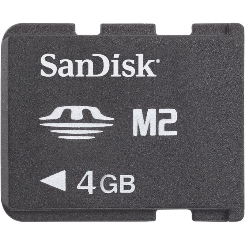 Tarjeta de Memoria M2 4GB