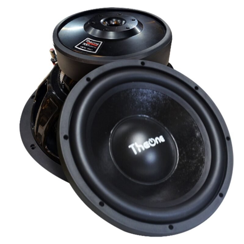 Parlante THEONE SubWoofer 12" doble bobina