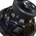 Parlante THEONE SubWoofer 12" doble bobina - Imagen 2