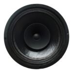 Parlante woofer 10" doble cono suspension tela FIVE STAR SERIES