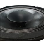 Parlante woofer 10" doble cono suspension tela FIVE STAR SERIES - Imagen 2