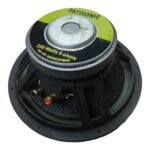 Parlante woofer 10" doble cono suspension tela FIVE STAR SERIES - Imagen 3